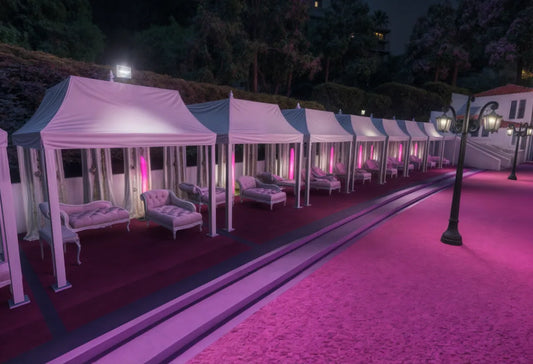 Barbie Party House | Fivem Ready | MLO