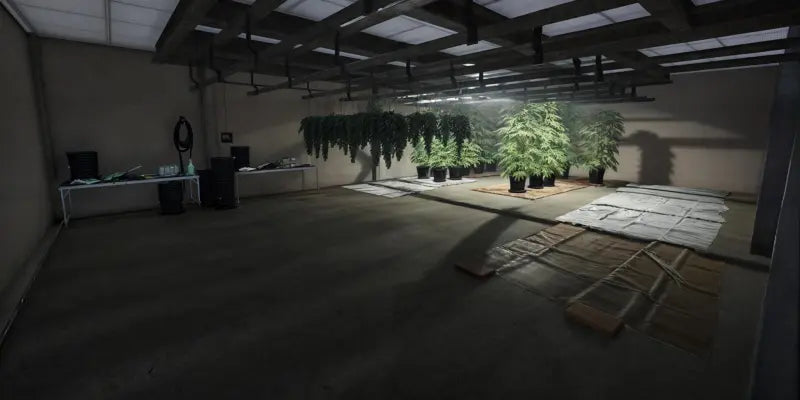 High Time Store | Fivem Ready | MLO | Business Store