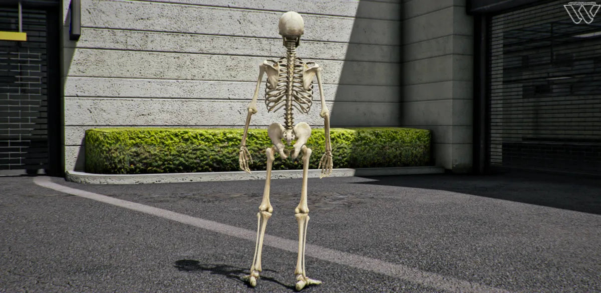 Skeleton Umutov | Fivem Ready l Movie Ped | Roleplay